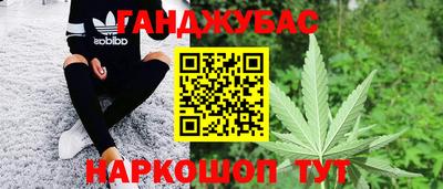 стаф Новоалтайск